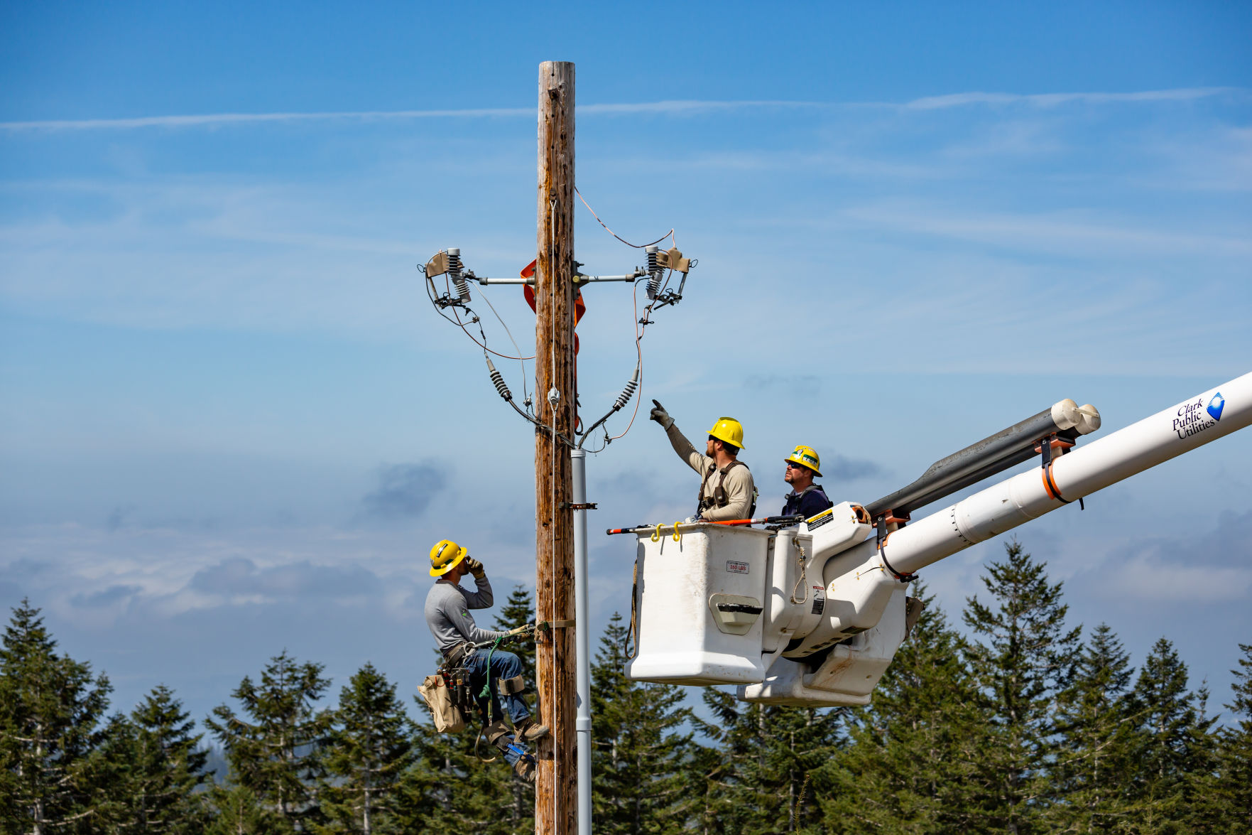 Telephone pole